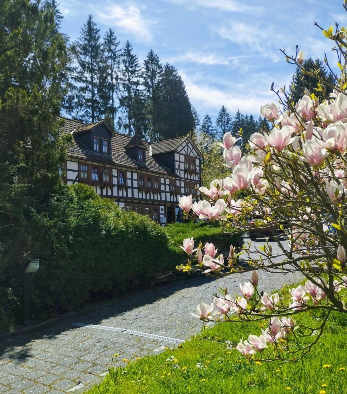 Pension Landhaus Machold Friedrichroda Exterior photo